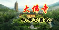 亚洲日本黄色成人网站吃奶摸逼中国浙江-新昌大佛寺旅游风景区